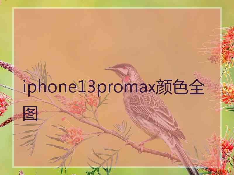 iphone13promax颜色全图