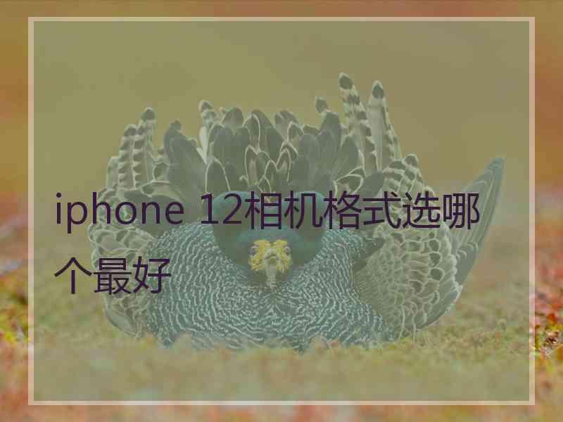 iphone 12相机格式选哪个最好