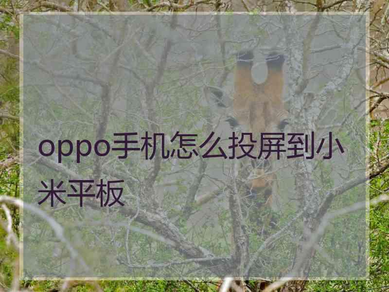 oppo手机怎么投屏到小米平板