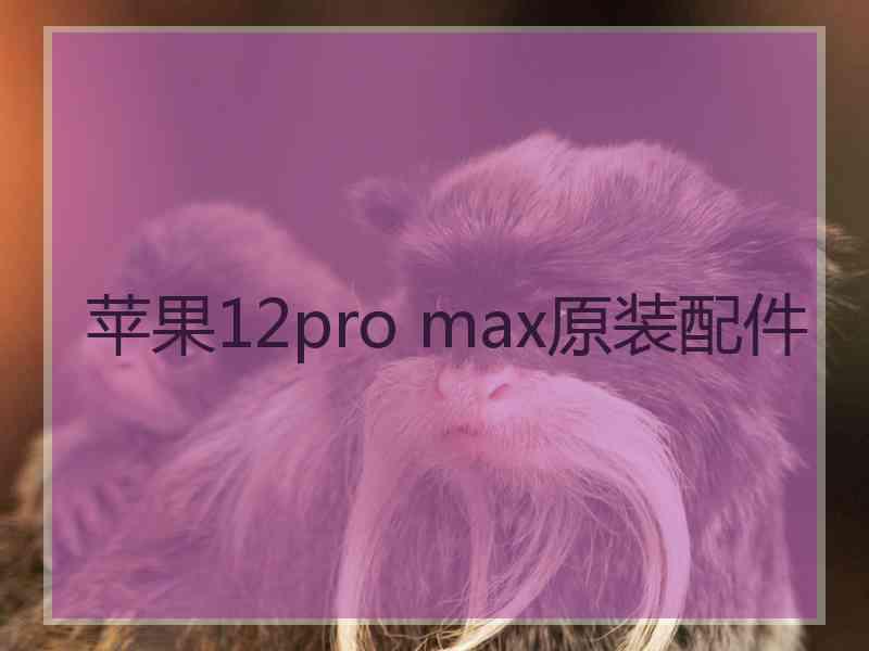 苹果12pro max原装配件