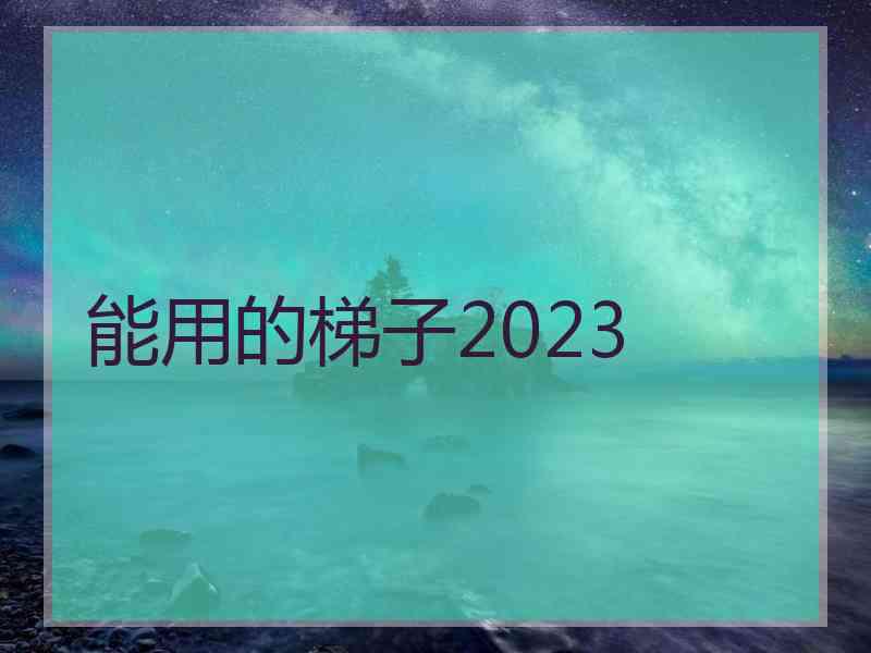 能用的梯子2023