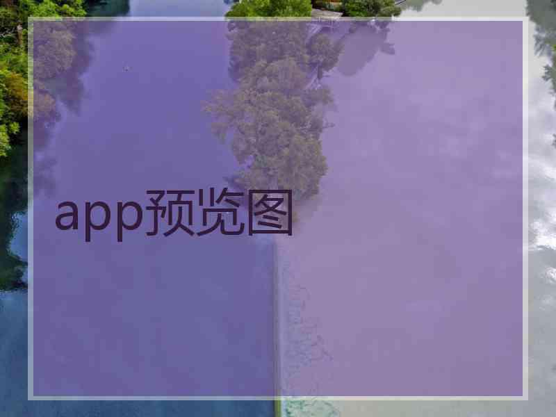 app预览图