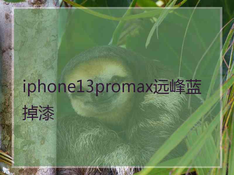 iphone13promax远峰蓝掉漆