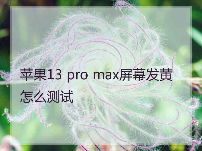 苹果13 pro max屏幕发黄怎么测试