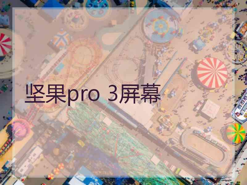 坚果pro 3屏幕