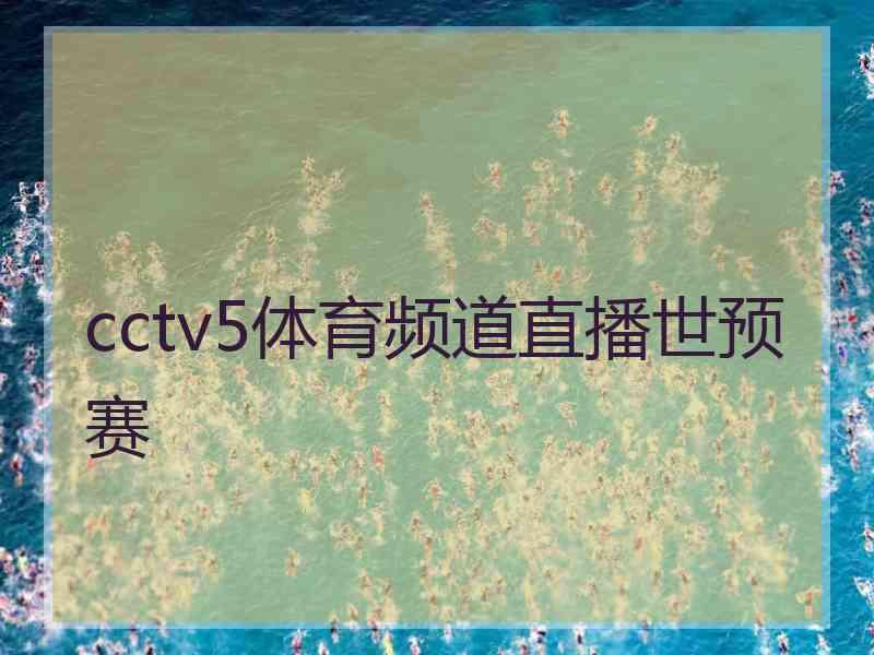 cctv5体育频道直播世预赛