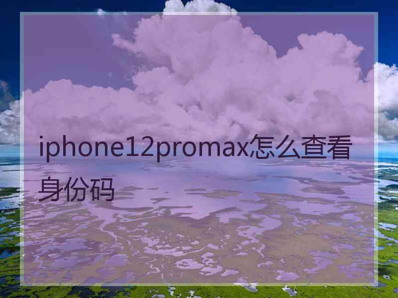 iphone12promax怎么查看身份码