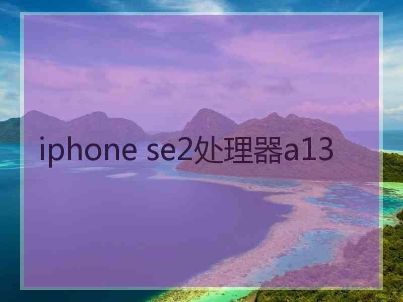 iphone se2处理器a13