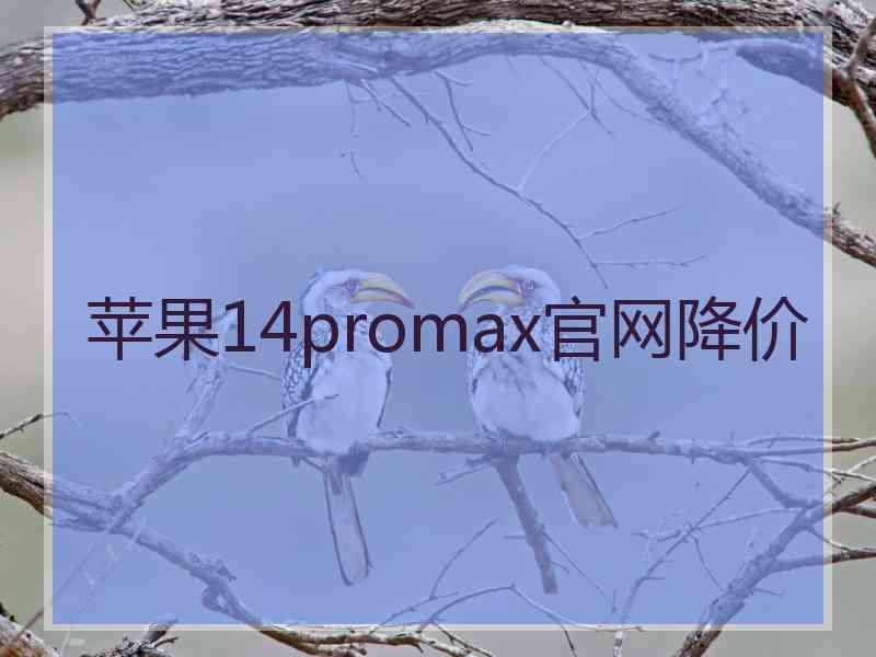 苹果14promax官网降价