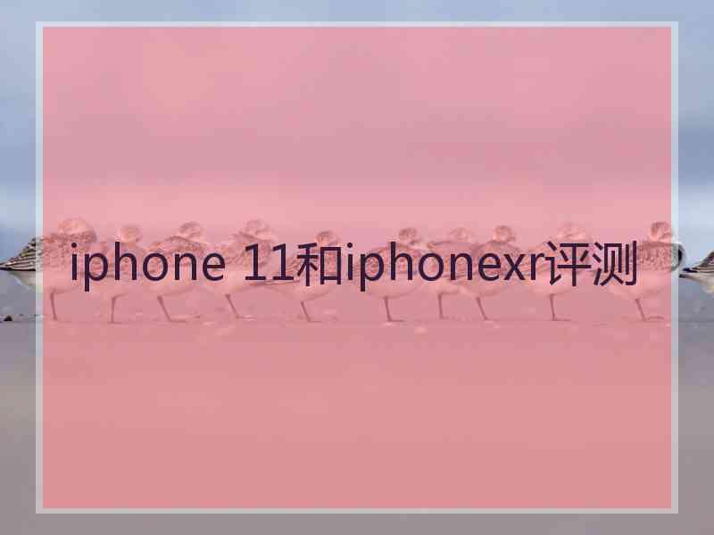 iphone 11和iphonexr评测