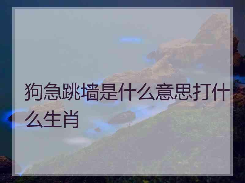 狗急跳墙是什么意思打什么生肖