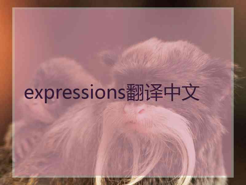 expressions翻译中文