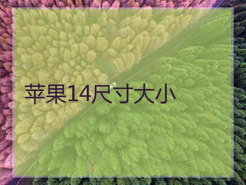 苹果14尺寸大小