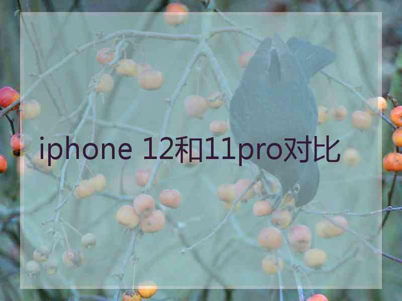 iphone 12和11pro对比