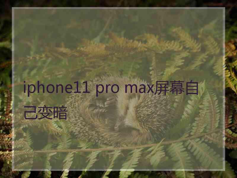 iphone11 pro max屏幕自己变暗