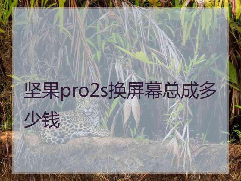 坚果pro2s换屏幕总成多少钱