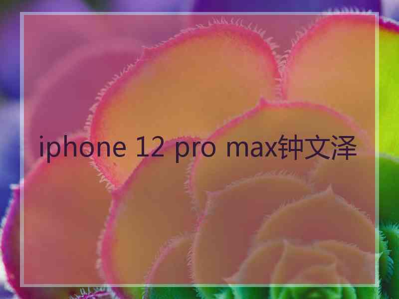 iphone 12 pro max钟文泽