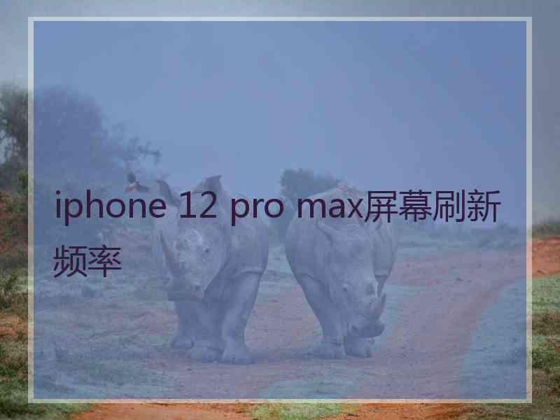 iphone 12 pro max屏幕刷新频率