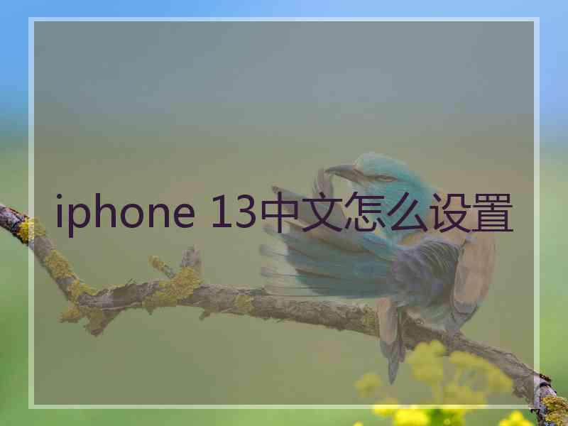 iphone 13中文怎么设置