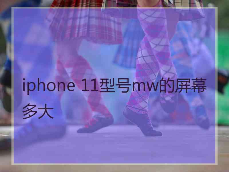 iphone 11型号mw的屏幕多大