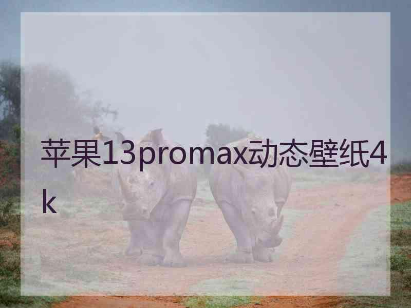 苹果13promax动态壁纸4k