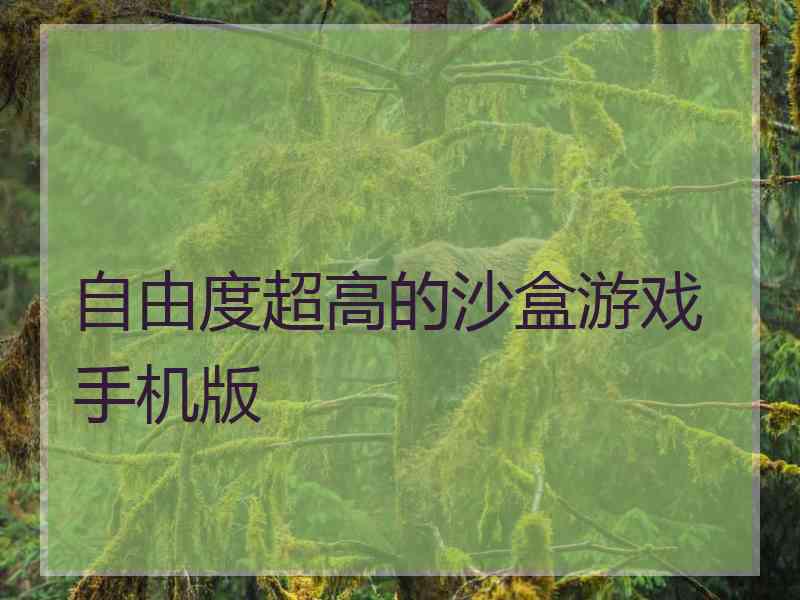 自由度超高的沙盒游戏手机版