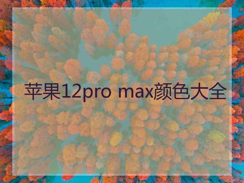 苹果12pro max颜色大全