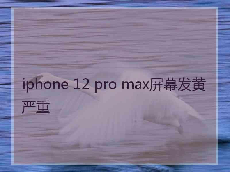 iphone 12 pro max屏幕发黄严重