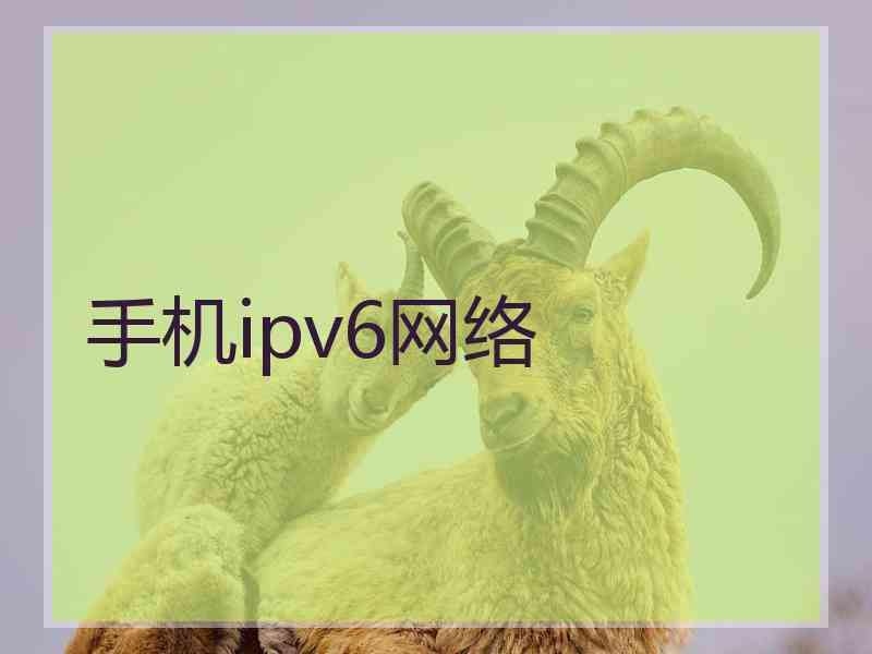 手机ipv6网络