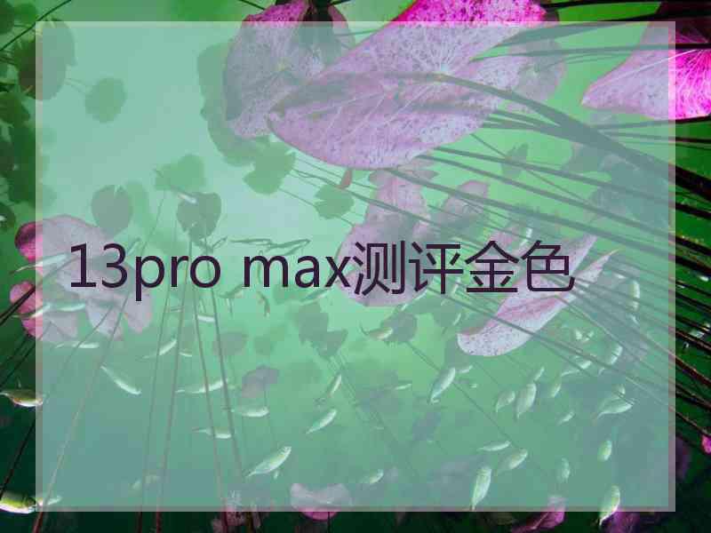 13pro max测评金色