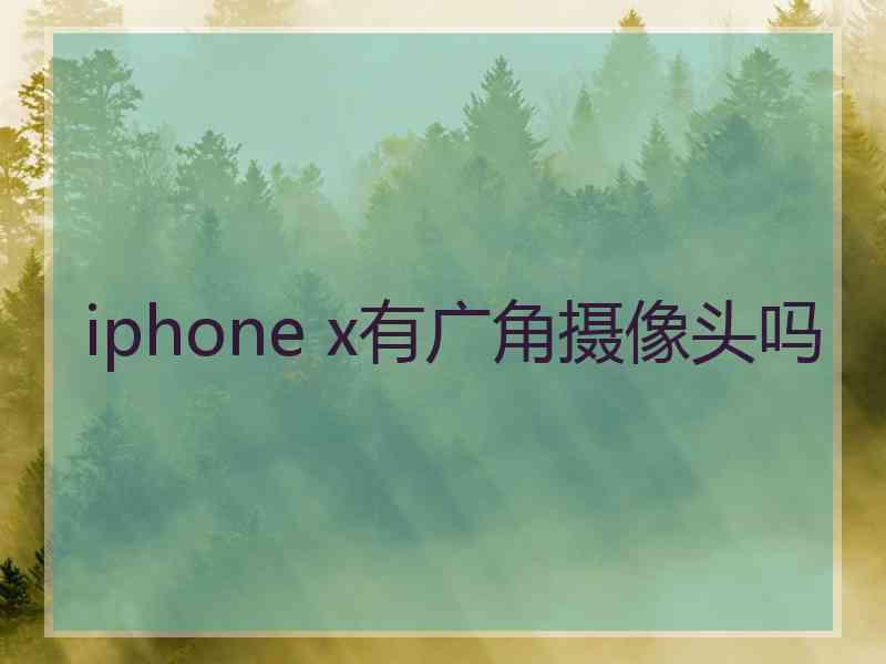 iphone x有广角摄像头吗