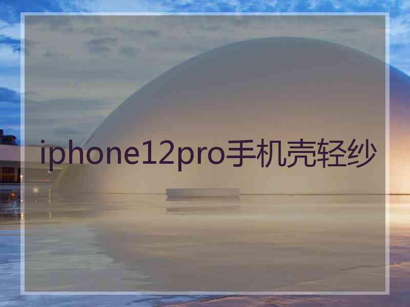 iphone12pro手机壳轻纱