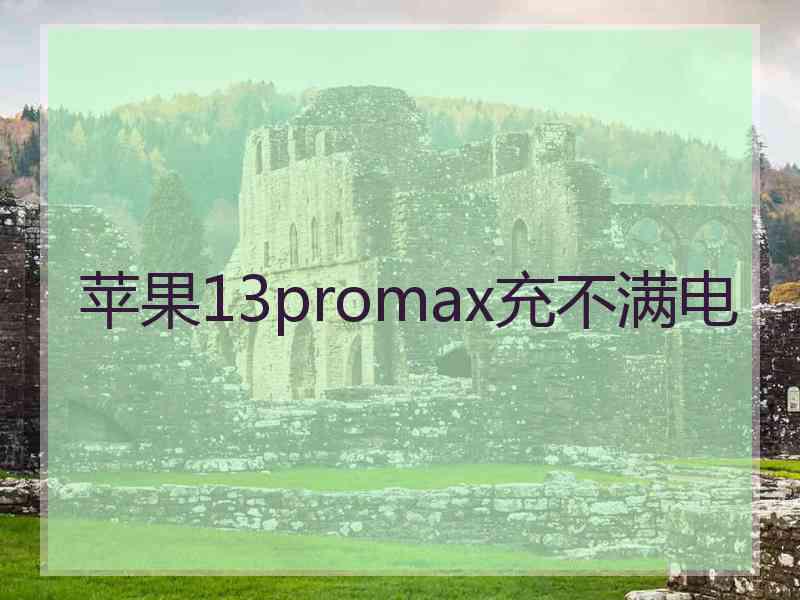 苹果13promax充不满电