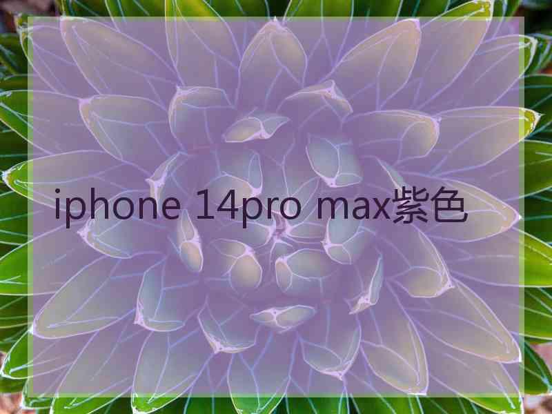 iphone 14pro max紫色