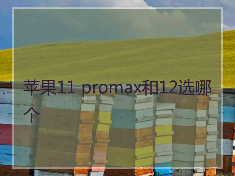 苹果11 promax和12选哪个