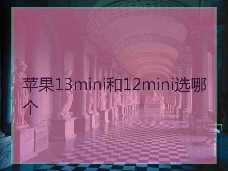 苹果13mini和12mini选哪个