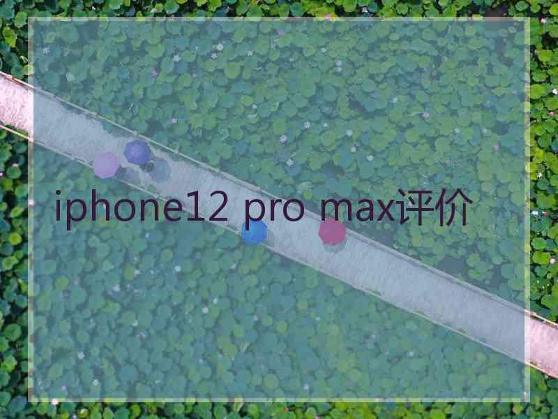 iphone12 pro max评价