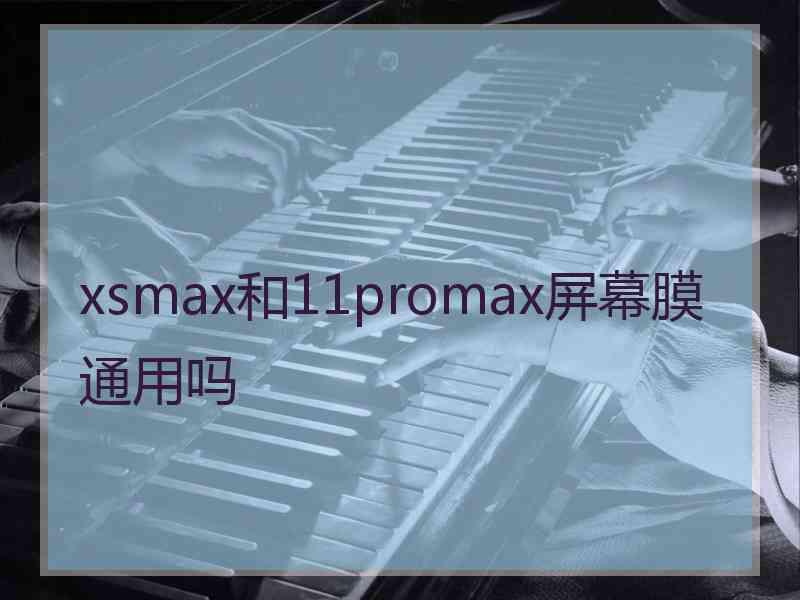 xsmax和11promax屏幕膜通用吗