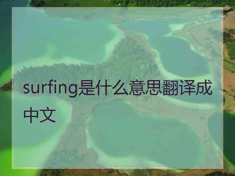 surfing是什么意思翻译成中文