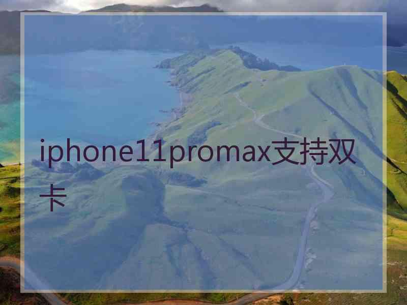 iphone11promax支持双卡