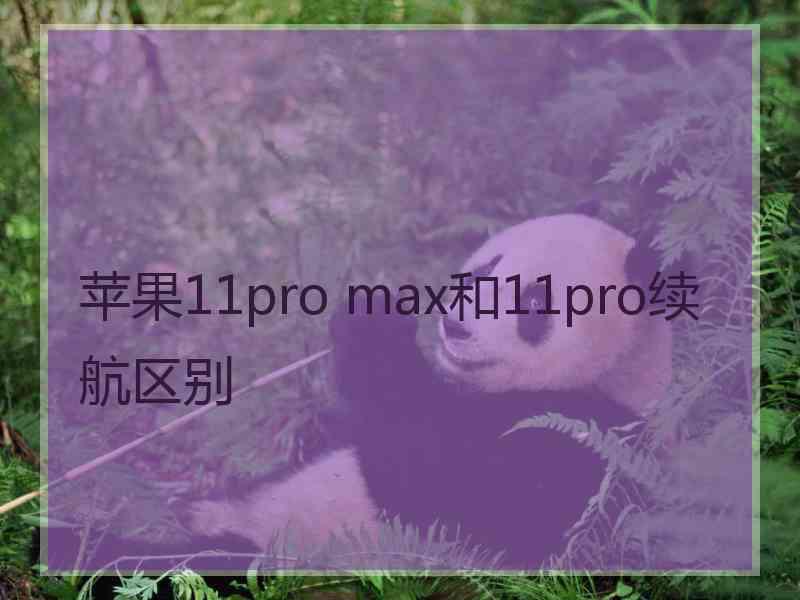 苹果11pro max和11pro续航区别