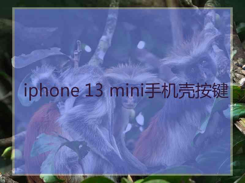 iphone 13 mini手机壳按键