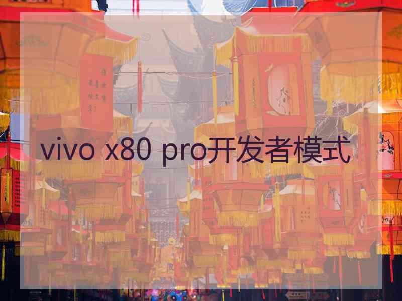 vivo x80 pro开发者模式