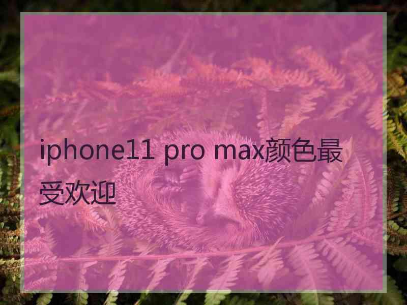 iphone11 pro max颜色最受欢迎