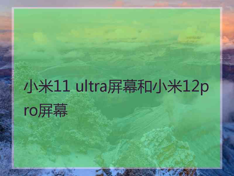 小米11 ultra屏幕和小米12pro屏幕