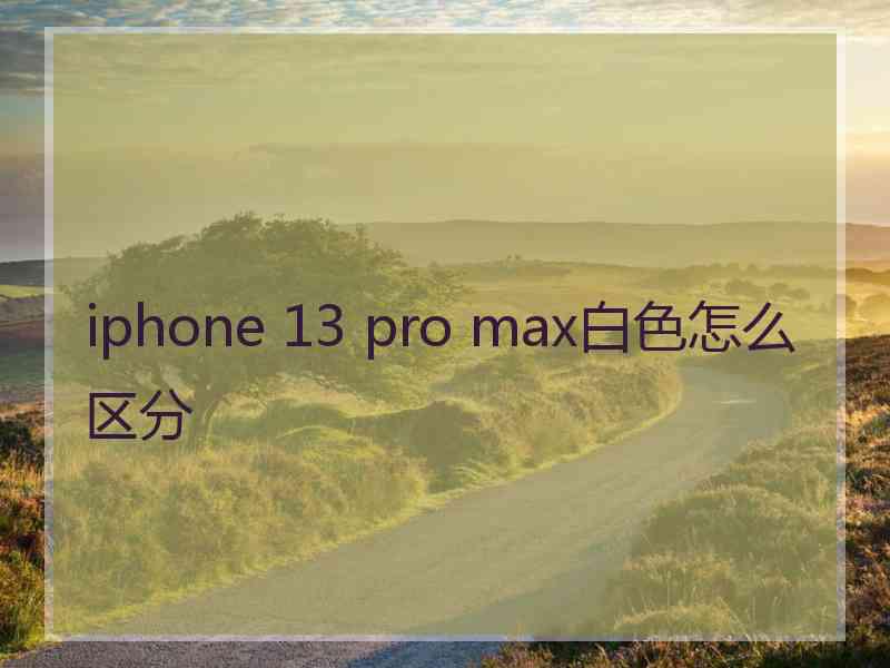 iphone 13 pro max白色怎么区分