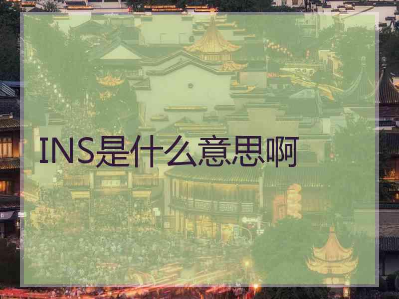 INS是什么意思啊