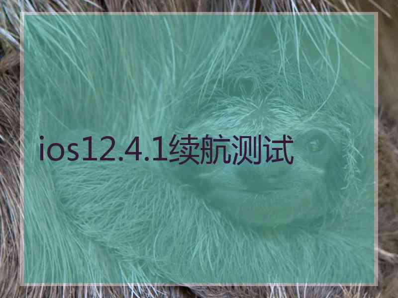 ios12.4.1续航测试