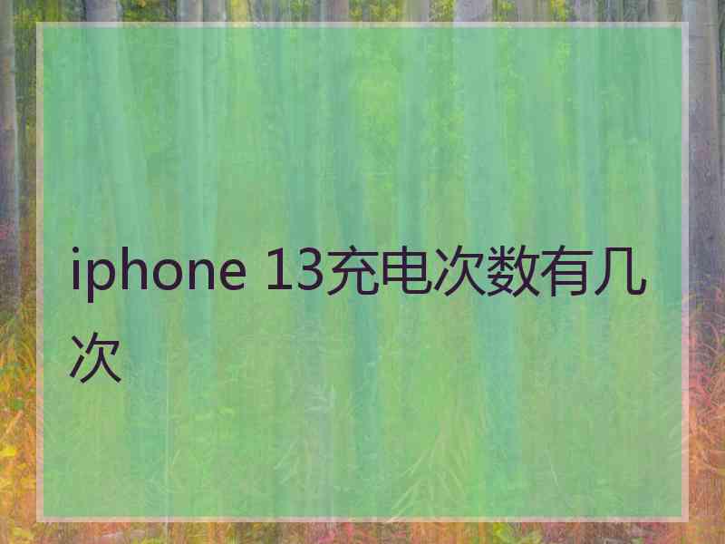 iphone 13充电次数有几次