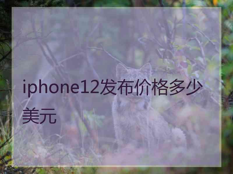 iphone12发布价格多少美元